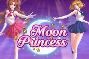 Moon Princessのスロット